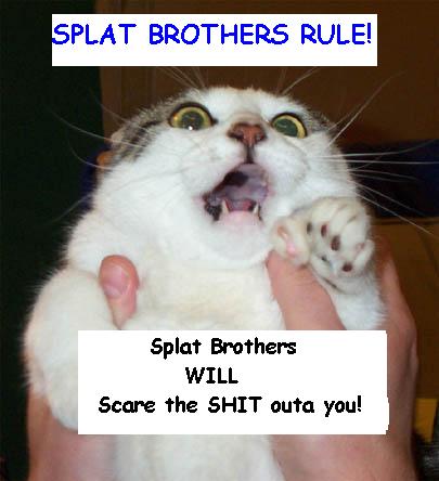 splatbrokitty.jpg